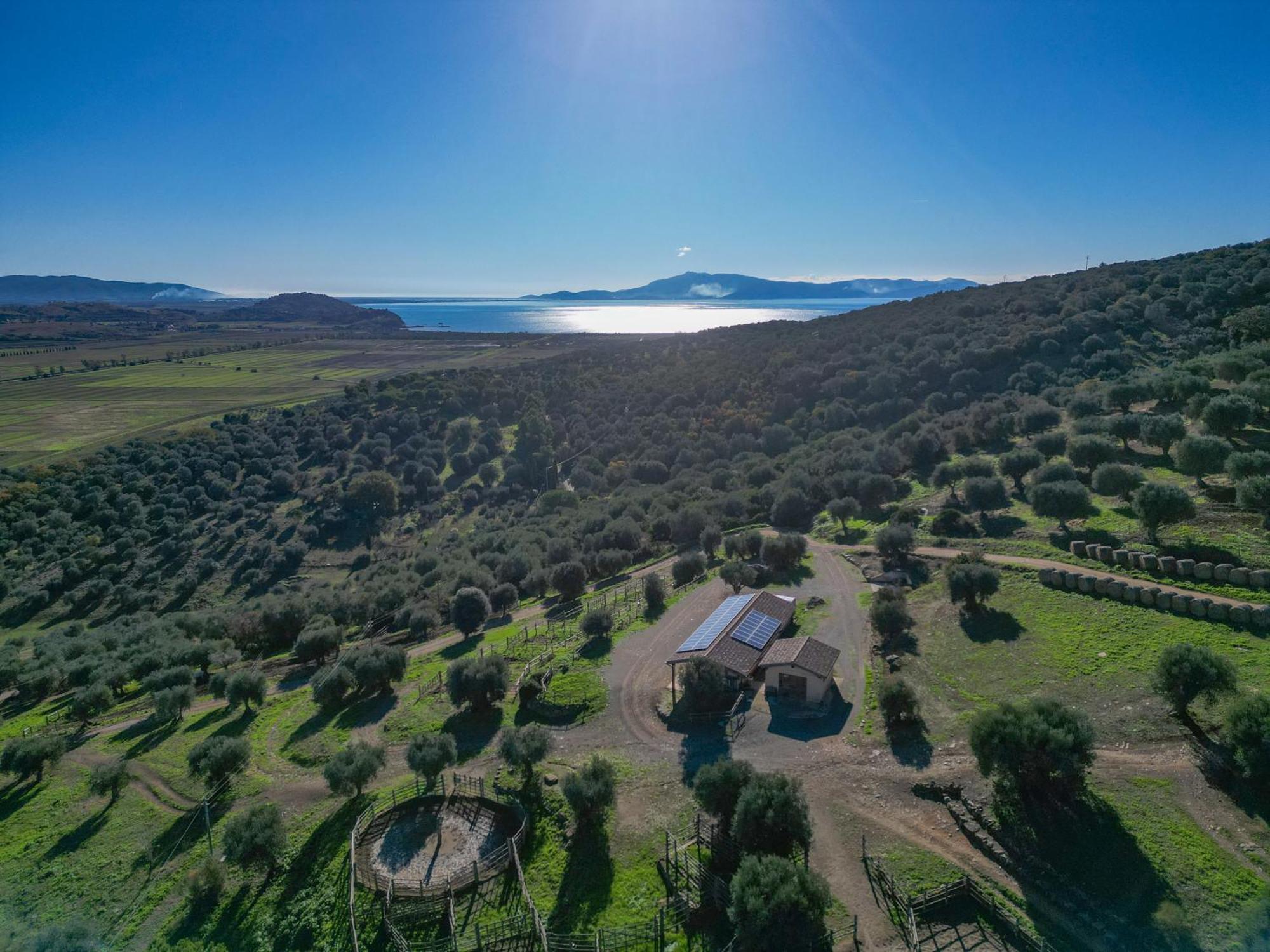 Agriturismo Buratta Фонтебланда Екстер'єр фото