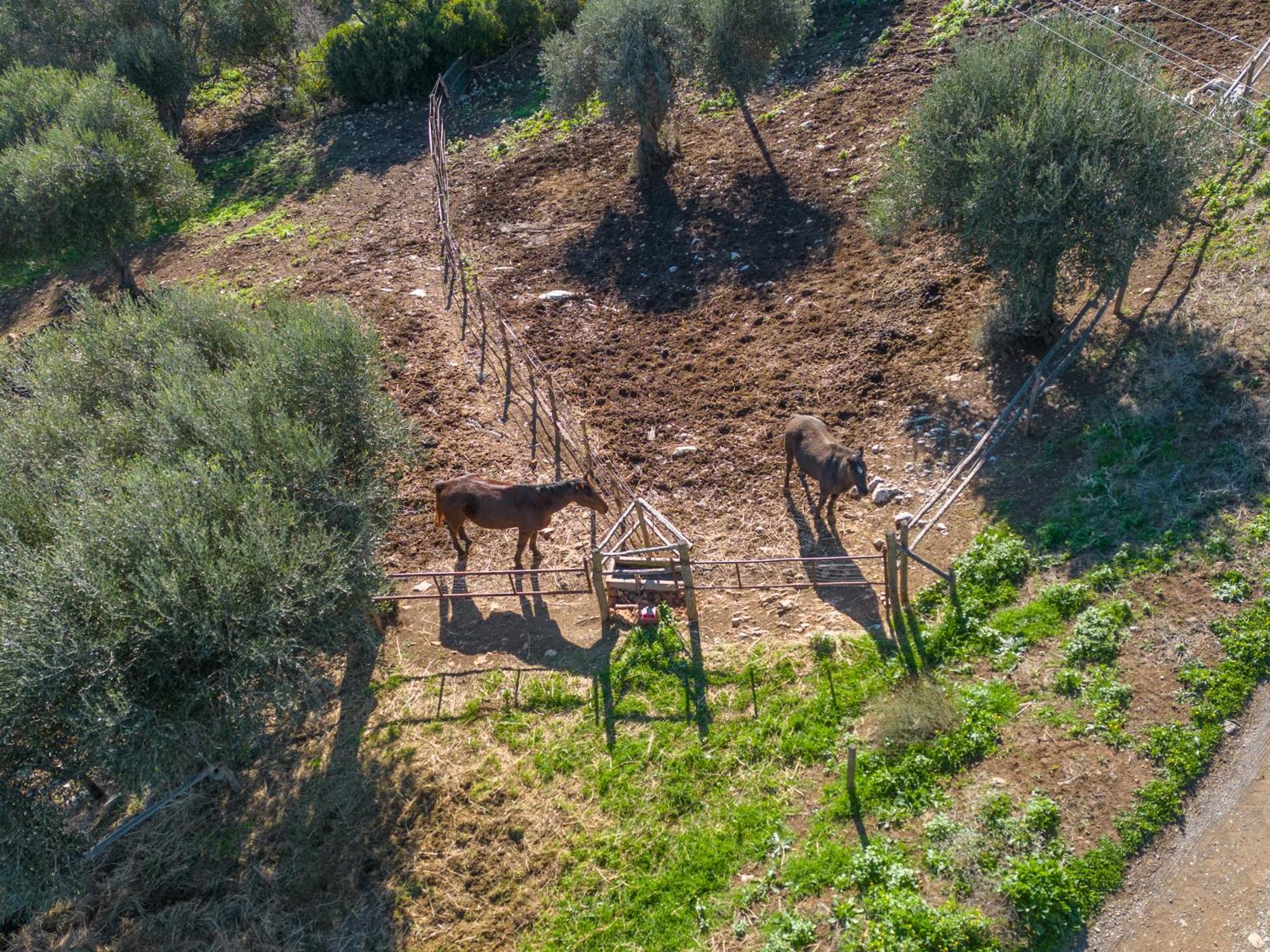 Agriturismo Buratta Фонтебланда Екстер'єр фото